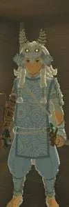 Mystic Armor Set full set