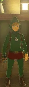 Tingle Armor Set full set
