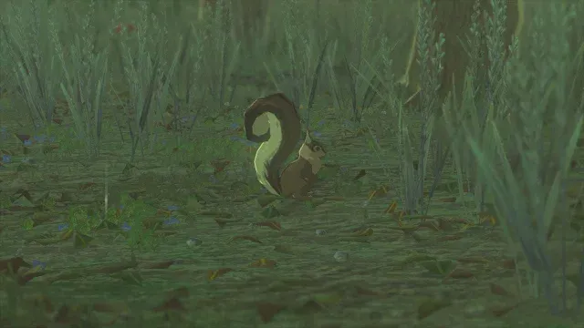 10 Bushy-Tailed Squirrel.jpg
