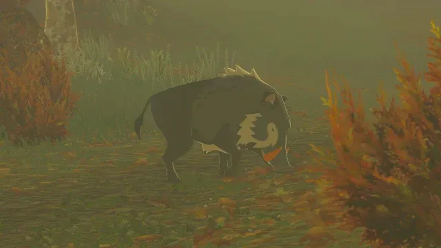 12 Red-Tusked Boar.jpg
