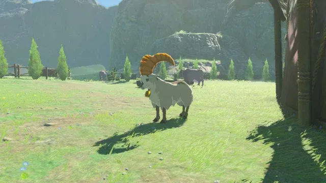 14 White Goat.jpg