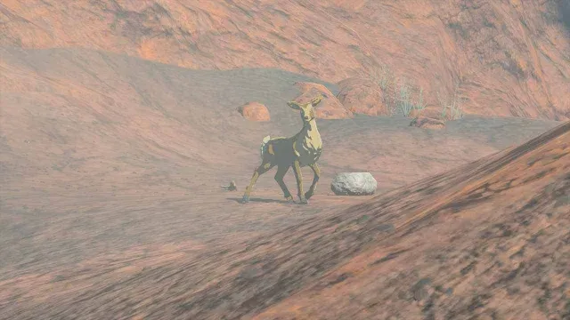 16 Mountain Doe.jpg