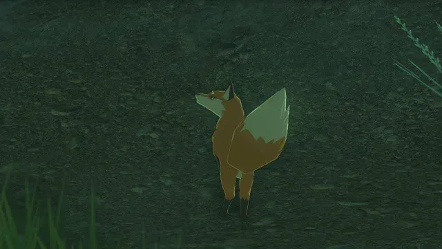 20 Grassland Fox.jpg