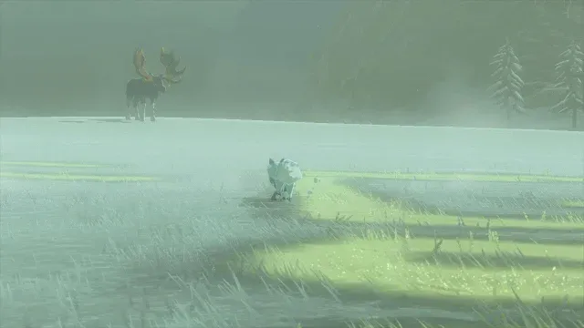 21 Snowcoat Fox.jpg