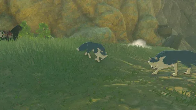22 Maraudo Wolf.jpg