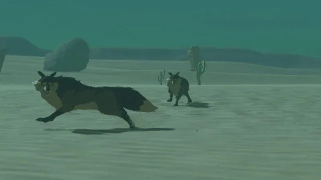 23 Wasteland Coyote.jpg