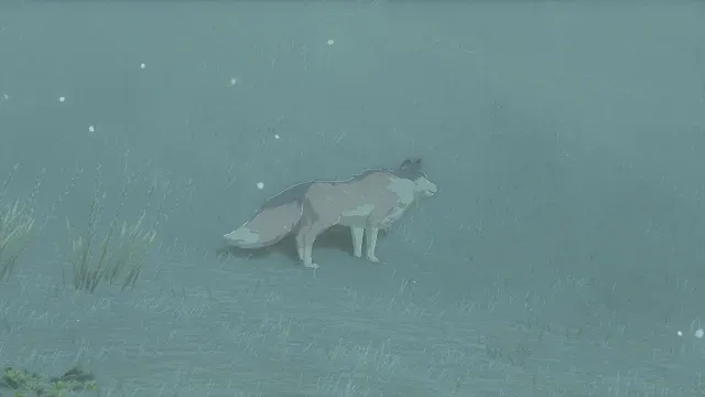 24 Cold-Footed Wolf.jpg