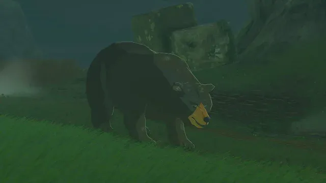 27 Honeyvore Bear.jpg