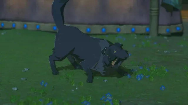 29 Hylian Retriever.jpg
