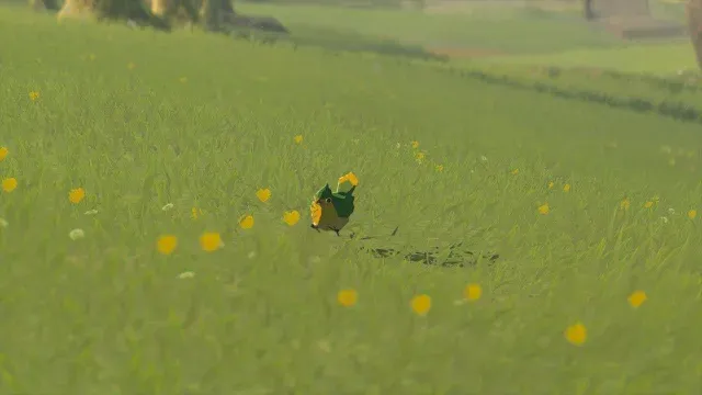 32 Common Sparrow.jpg