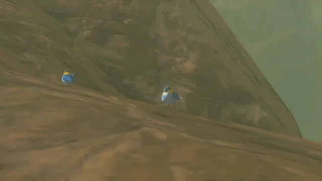 34 Blue Sparrow.jpg