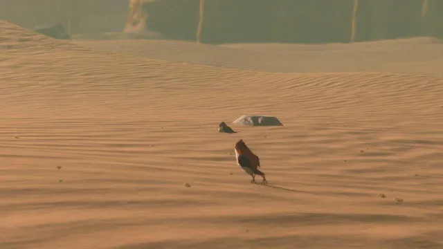 36 Sand Sparrow.jpg