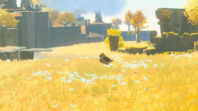 37 Golden Sparrow.jpg