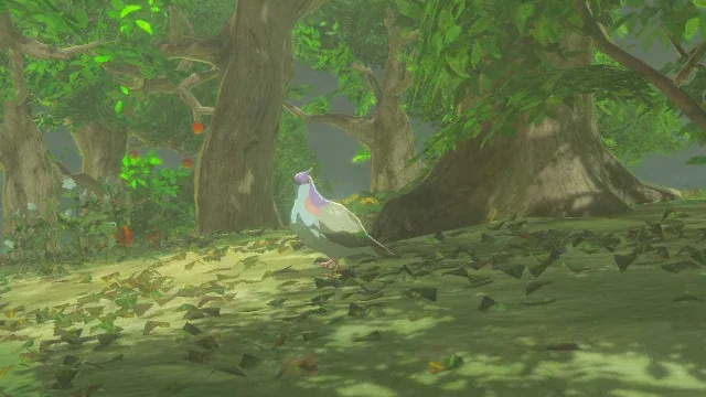38 Wood Pigeon 1.jpg
