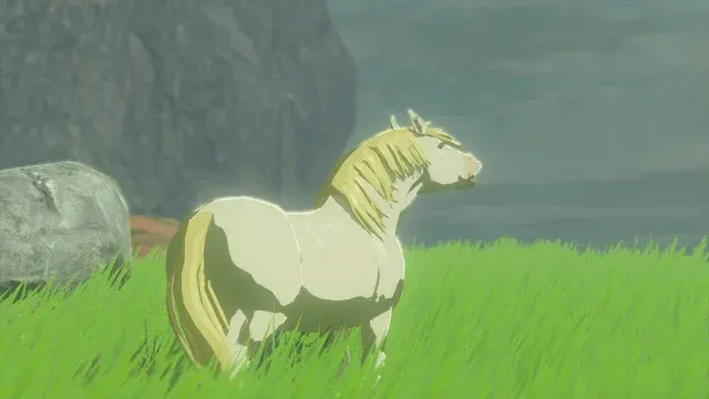 3 White Horse.jpg