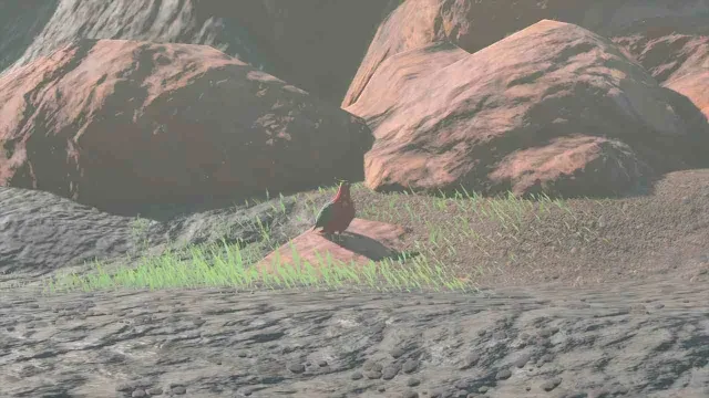 40 Hotfeather Pigeon.jpg