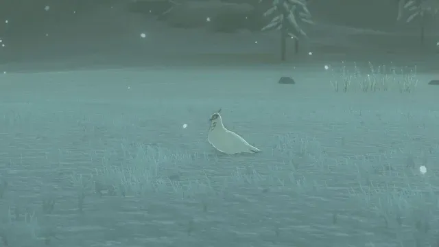 41 White Pigeon.jpg