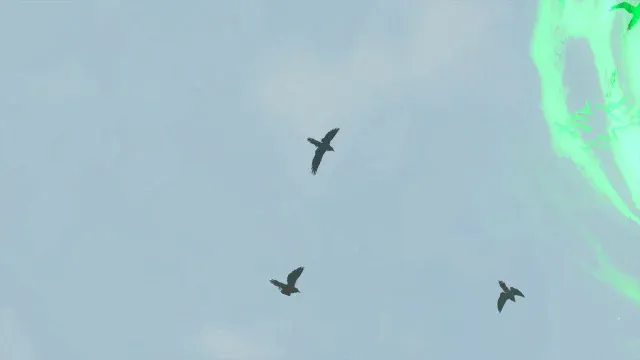 43 Mountain Crow.jpg