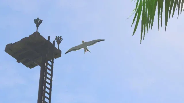 48 Seagull 1.jpg
