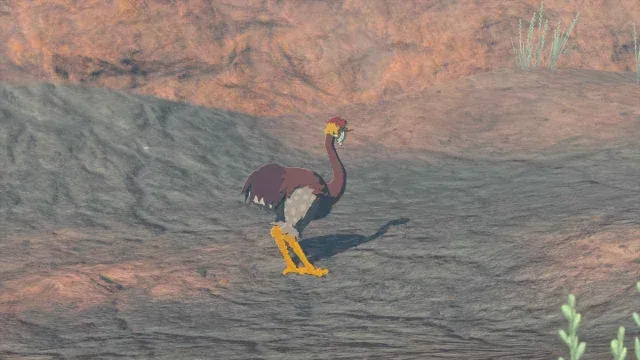 50 Eldin Ostrich.jpg