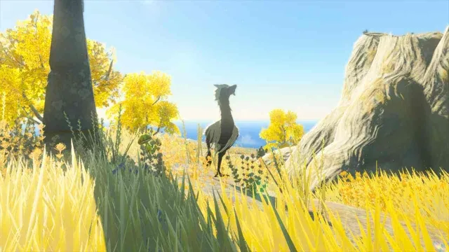 51 Forest Ostrich.jpg