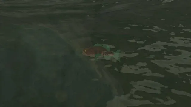 55 Staminoka Bass.jpg