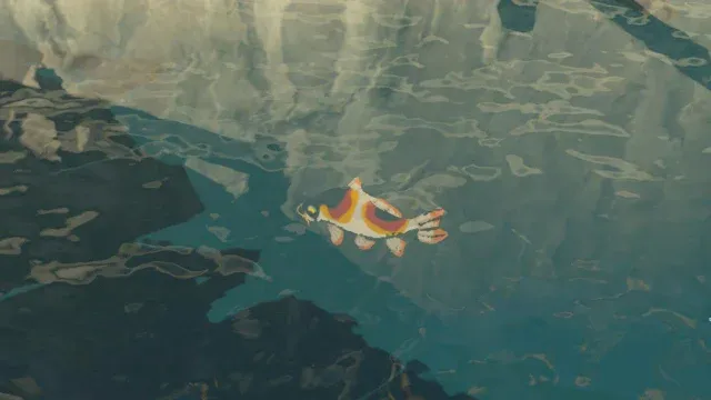 63 Sanke Carp.jpg