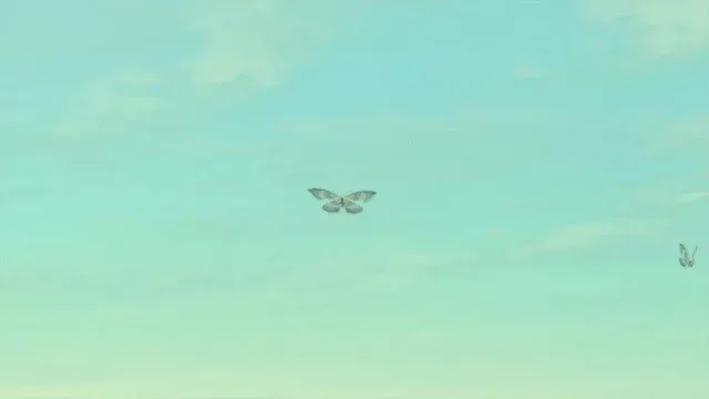 73 Winterwing Butterfly.jpg