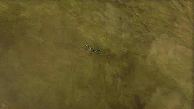 77 Cold Darner.jpg