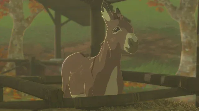 7 Donkey.jpg