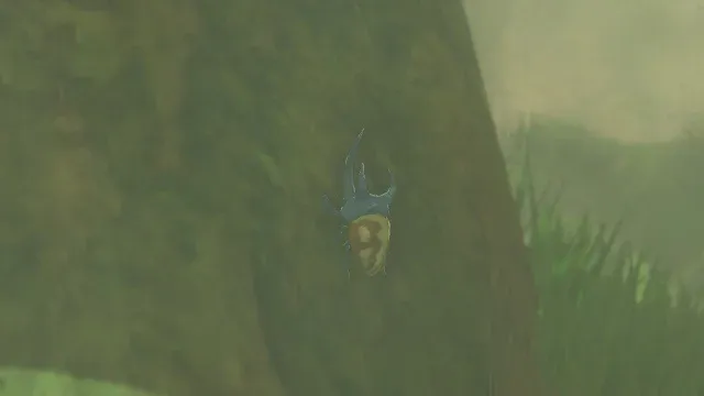 81 Bladed Rhino Beetle.jpg