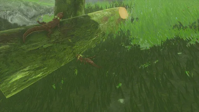 89 Hightail Lizard.jpg