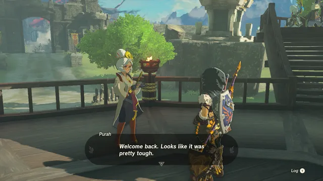 Find the Fifth Sage Walkthrough (10).png