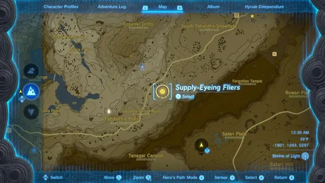 Supply-Eying Fliers 3.png