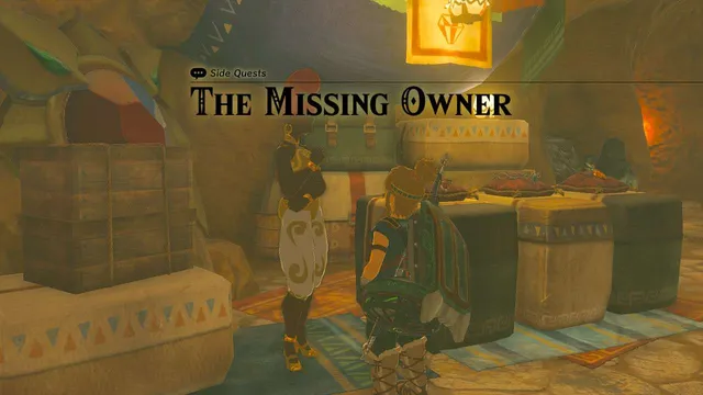 The Lost Owner 1.png