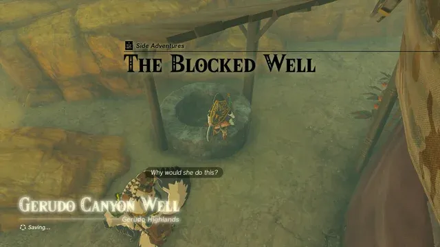 TotK Blocked1.jpg