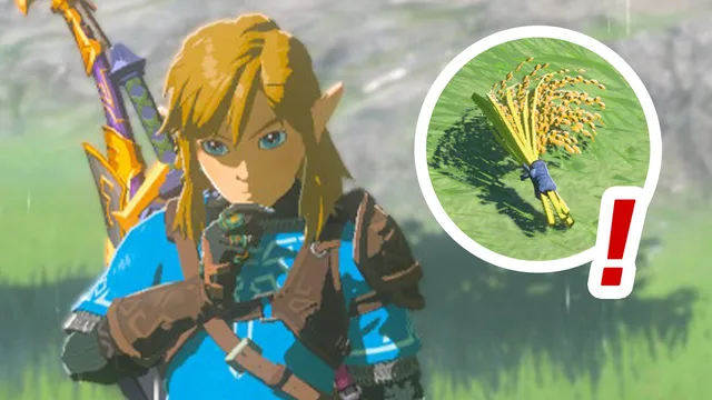 Totk-hylian-rice-location.png