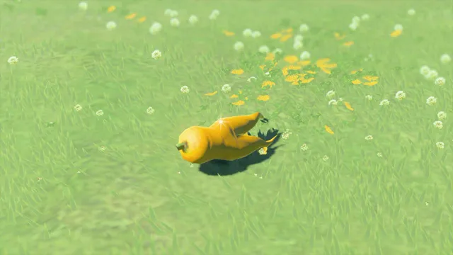 Endura Carrot Zelda Tears of the Kingdom TotK.png