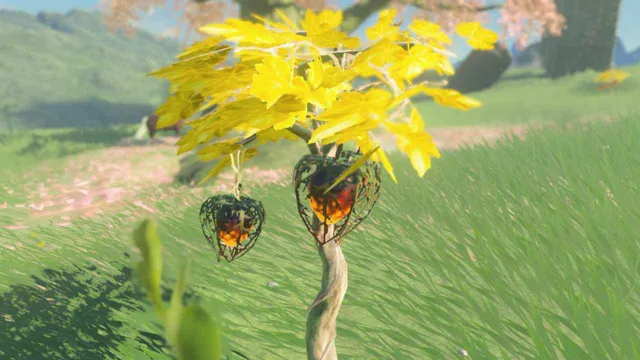 Fire Fruit Zelda TotK Tears of the Kingdom .png