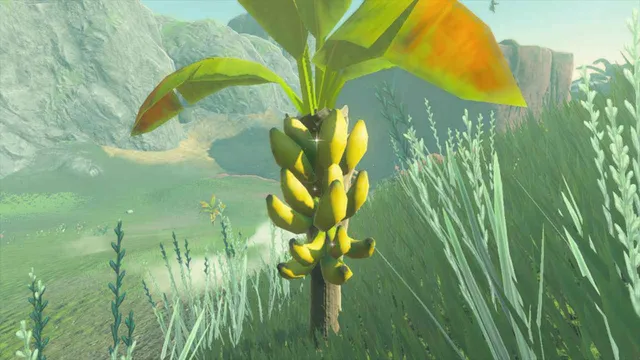Mighty Bananas Zelda TotK Tears of the Kingdom.png