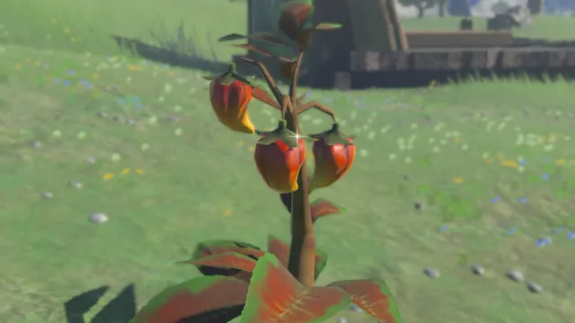 Spicy Pepper Zelda TotK Tears of the Kingdom.png