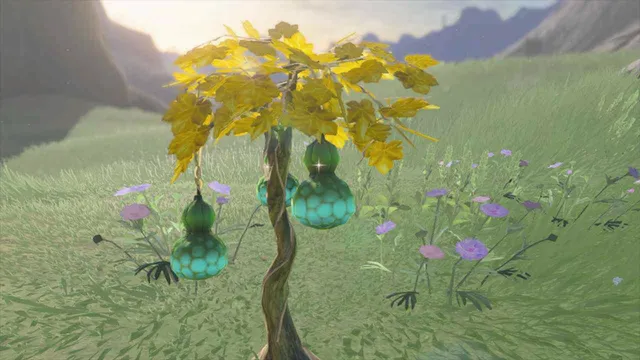 Splash Fruit Zelda TotK Tears of the Kingdom.png