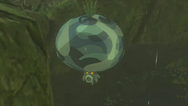 101 Water Octorock.jpg