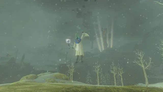 107 Ice Wizzrobe.jpg