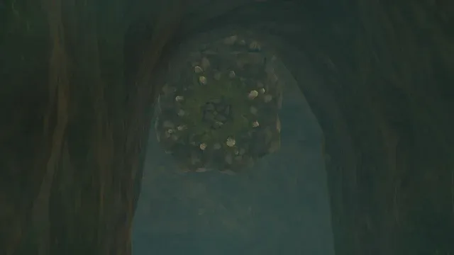 116 Rock Like.jpg