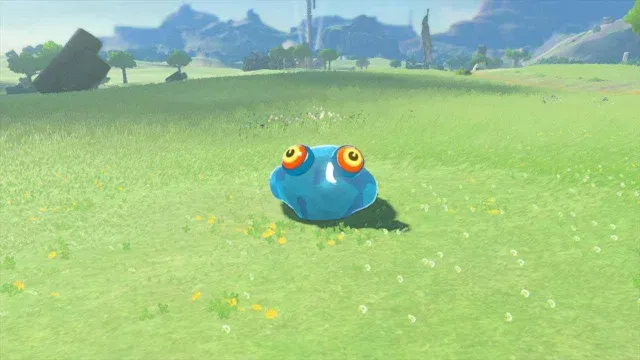 93 Chuchu.jpg
