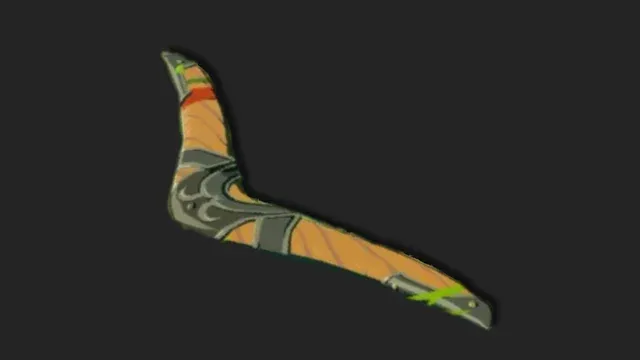 Boomerang plus.jpg